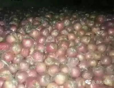 大農(nóng)推送| 會(huì)員供求信息(2016年第七期) - 今日頭條(www.toutiao.com)