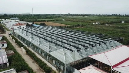 陜西種苗集團(tuán)成為全國(guó)最大國(guó)有種苗基地