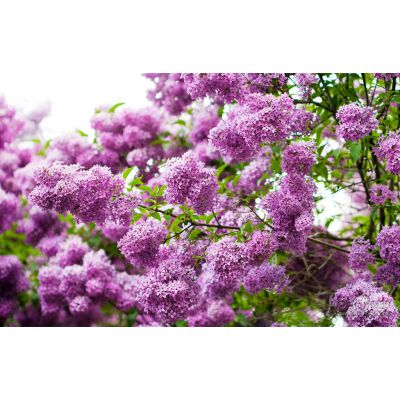 價格 廠家 中國供應商