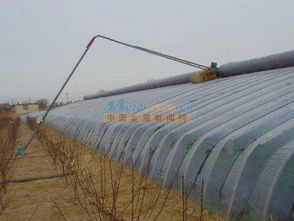 陜西與寧夏大棚棉被及種苗產(chǎn)業(yè)發(fā)展探析