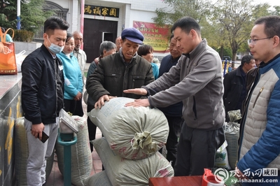 小連翹撬動大產業 中藥材種植助力脫貧攻堅——陜西中醫藥大學制藥廠赴旬邑收購連翹記