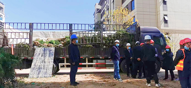 延安市森林病蟲(chóng)害防治檢疫站 守護(hù)陜西種苗健康的綠色衛(wèi)士