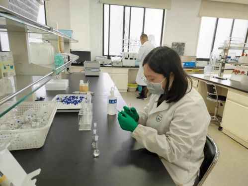 涇三淳區域分中心以技術為支撐 數字文化創意軟件助力疫情春節食品安全保障